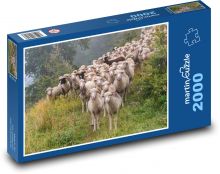 Animals - flock of sheep Puzzle 2000 pieces - 90 x 60 cm