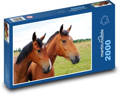 Pferde - braune Pferde - Puzzle - 2000 Teile