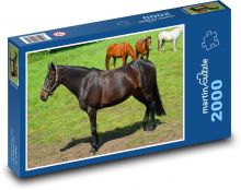 Koń - pastwisko, konie Puzzle 2000 elementów - 90x60 cm
