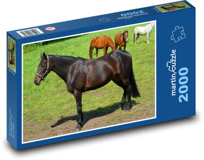 Koń - pastwisko, konie - Puzzle 2000 elementów, rozmiar 90x60 cm