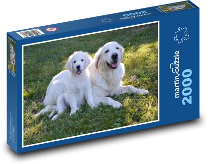 Golden Retriever - Welpe, Hund - Puzzle - 2000 Teile