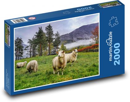 Norsko - hory, ovce - Puzzle 2000 dílků, rozměr 90x60 cm