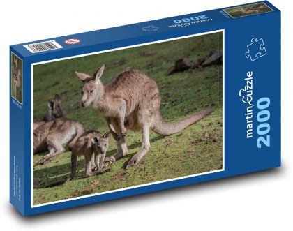 Eastern Kangaroo - cub, animals - Puzzle 2000 pieces, size 90x60 cm 