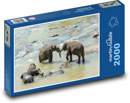 Slony - Srí Lanka, zviera - Puzzle 2000 dielikov, rozmer 90x60 cm 