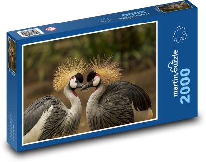 Żuraw - ptak, para - Puzzle 2000 elementów, rozmiar 90x60 cm