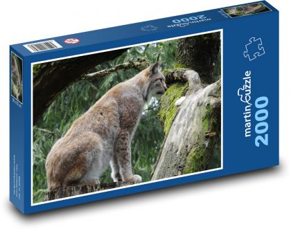 Ryś - żbik, zwierzę - Puzzle 2000 elementów, rozmiar 90x60 cm