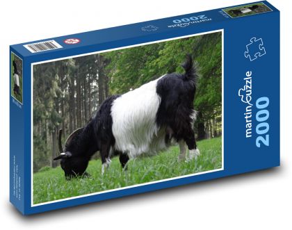 Koza - zvíře, savec - Puzzle 2000 dílků, rozměr 90x60 cm