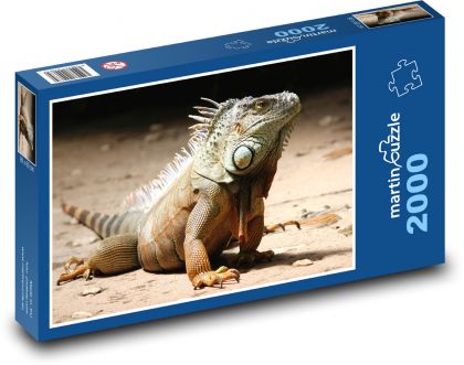 Leguán - plaz, jašterica - Puzzle 2000 dielikov, rozmer 90x60 cm 