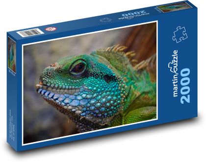 Lizard - exotic reptile, head - Puzzle 2000 pieces, size 90x60 cm 