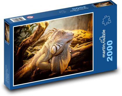 Jašterica - plaz, zviera - Puzzle 2000 dielikov, rozmer 90x60 cm 