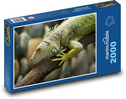 Leguán - jašterica, zviera - Puzzle 2000 dielikov, rozmer 90x60 cm 