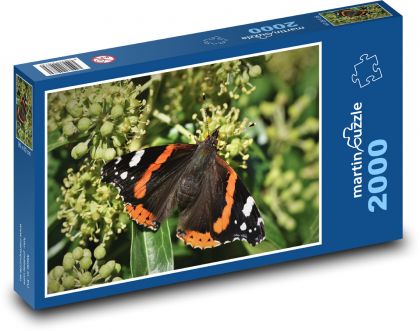 Motýl - hmyz, křídla - Puzzle 2000 dílků, rozměr 90x60 cm