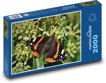 Butterfly - insects, wings - Puzzle 2000 pieces, size 90x60 cm 