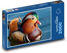 Kačica mandarínska - rieka, jazero Puzzle 2000 dielikov - 90 x 60 cm