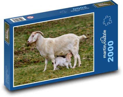 Koza - kozľa, mláďa - Puzzle 2000 dielikov, rozmer 90x60 cm 