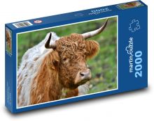 Krava - rohy, cicavec Puzzle 2000 dielikov - 90 x 60 cm