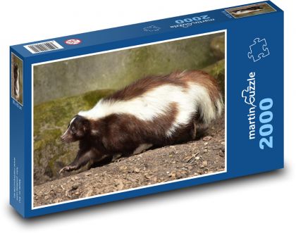 Skunk - zviera, cicavec - Puzzle 2000 dielikov, rozmer 90x60 cm 