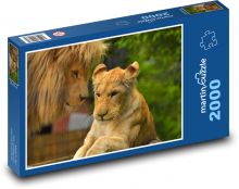 Lioness - lioness, big cat Puzzle 2000 pieces - 90 x 60 cm