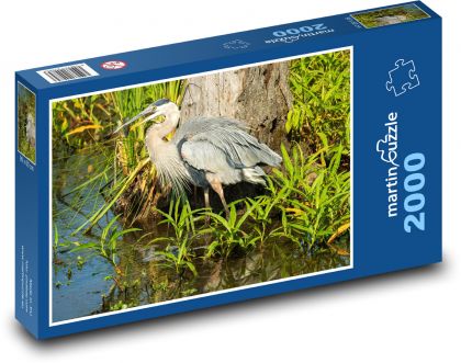 Big heron - water bird, animal - Puzzle 2000 pieces, size 90x60 cm 