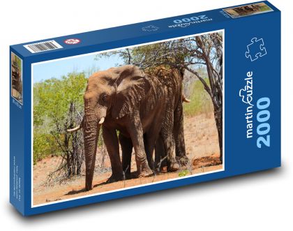 Slon africký - zvíře, savec - Puzzle 2000 dílků, rozměr 90x60 cm