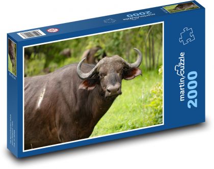 Byvol - Afrika, safari - Puzzle 2000 dielikov, rozmer 90x60 cm 