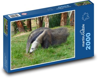 Ameisenbär - Tier, Feld - Puzzle - 2000 Teile