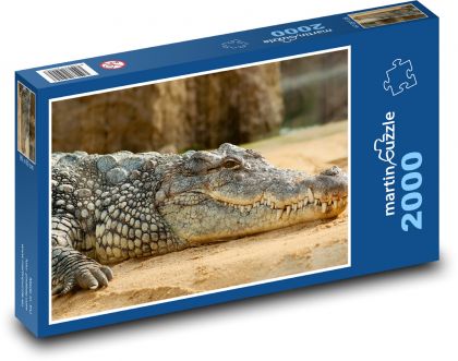 Krokodýl nýlský - zvíře, zoo - Puzzle 2000 dílků, rozměr 90x60 cm