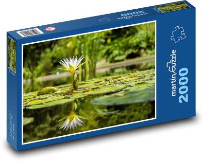 Weiße Seerose - Reflexion im Wasser, Teich - Puzzle - 2000 Teile