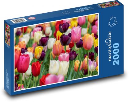 Tulipány - květiny, zahrada - Puzzle 2000 dílků, rozměr 90x60 cm