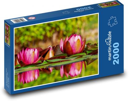 Water lilies - pink flowers, water - Puzzle 2000 pieces, size 90x60 cm 
