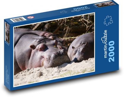 Nilpferd - Tier, Säugetier - Puzzle - 2000 Teile