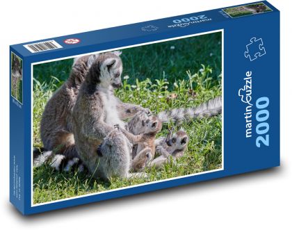 Lemur - opice, mláďata - puzzle 2000 dílků