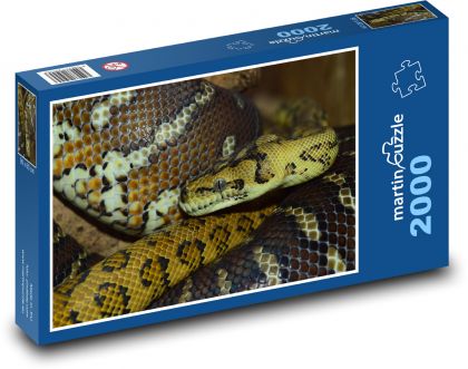Had - plaz, zvíře - Puzzle 2000 dílků, rozměr 90x60 cm