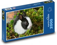 Černobílý králíček Puzzle 2000 - 90x60 cm