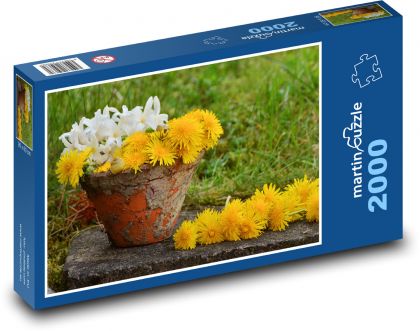 Pampeliška - květináč, jaro - Puzzle 2000 dílků, rozměr 90x60 cm