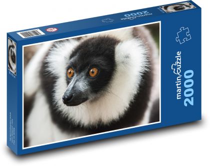 Lemur - monkey, animal - Puzzle 2000 pieces, size 90x60 cm 