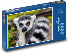 Lemur - monkey, zoo Puzzle 2000 pieces - 90 x 60 cm