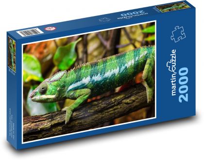 Chameleon - reptile, lizard - Puzzle 2000 pieces, size 90x60 cm 