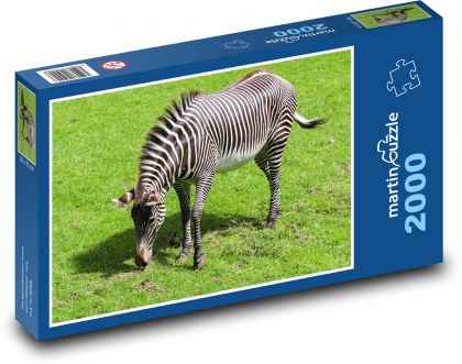 Zebra - Africa, safari - Puzzle 2000 pieces, size 90x60 cm 