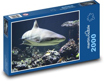Žralok čierny - dravá ryba, more - Puzzle 2000 dielikov, rozmer 90x60 cm 