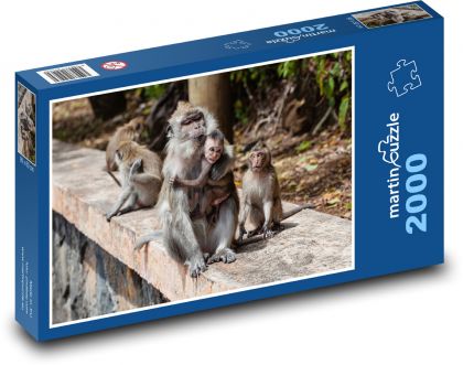 Makak - opice, mládě - Puzzle 2000 dílků, rozměr 90x60 cm