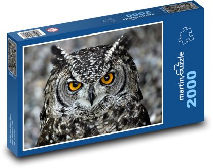 Owl - bird, animal - Puzzle 2000 pieces, size 90x60 cm 