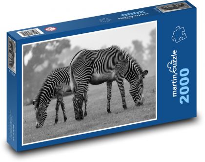 Zebra - zwierzę, Afryka - Puzzle 2000 elementów, rozmiar 90x60 cm