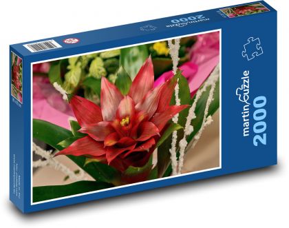 Červená květina - květ, zahrada - Puzzle 2000 dílků, rozměr 90x60 cm