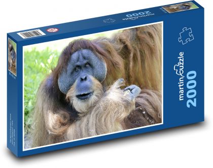 Orang-Utan - Affe, Tier - Puzzle - 2000 Teile