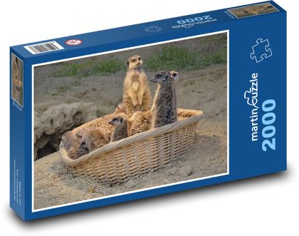 Meerkat - animal, Africa - Puzzle 2000 pieces, size 90x60 cm 