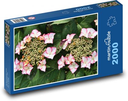 Hortensja - kwiaty, ogród - Puzzle 2000 elementów, rozmiar 90x60 cm