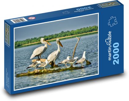Pelikáni - rackové, vodní ptáci - Puzzle 2000 dílků, rozměr 90x60 cm