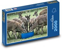 Deer - wild game, animals Puzzle 2000 pieces - 90 x 60 cm