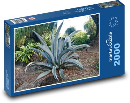 Roślina - kaktus - Puzzle 2000 elementów, rozmiar 90x60 cm